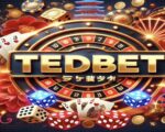 tedbet ボーナスコード